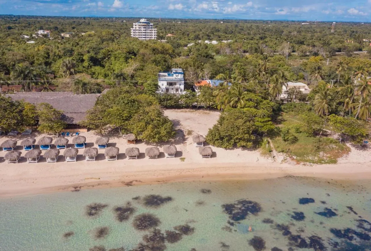 Penthouse Live Beach Colorado Dominican Republic